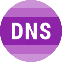 DNS 检测
